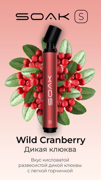 SOAK LS/ Wild Cranberry