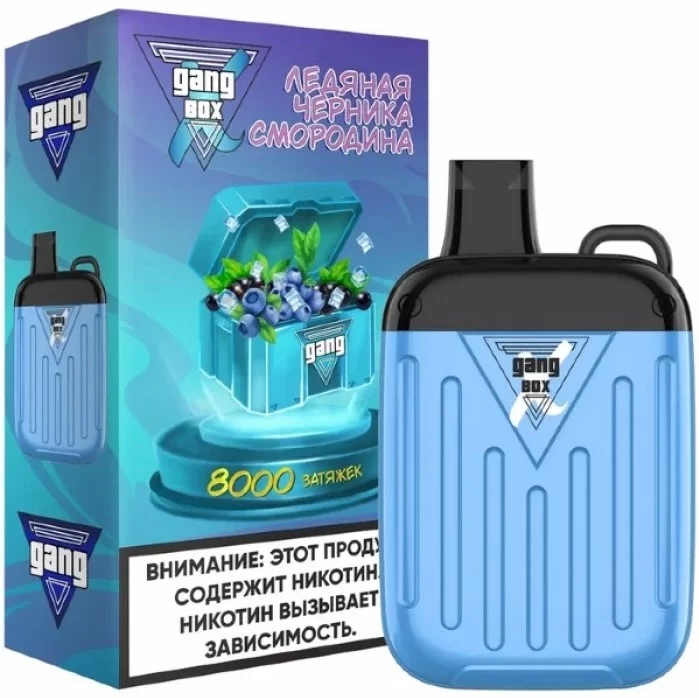 GANG XBOX 8000 / Ледяная Черника-Смородина