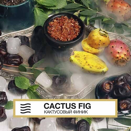 для кальяна Element / Земля 40 гр. / Cactus fig