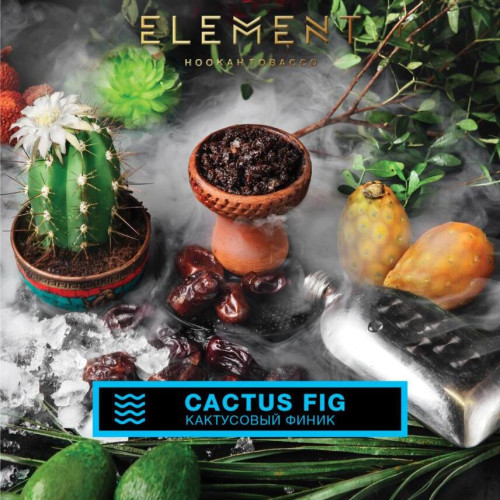 для кальяна Element / Вода 200 гр. / Cactus Fig
