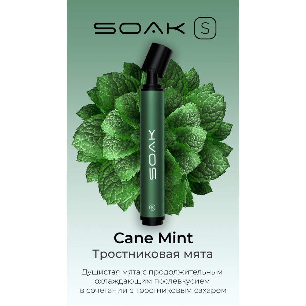 SOAK S 2500 / Cane Mint