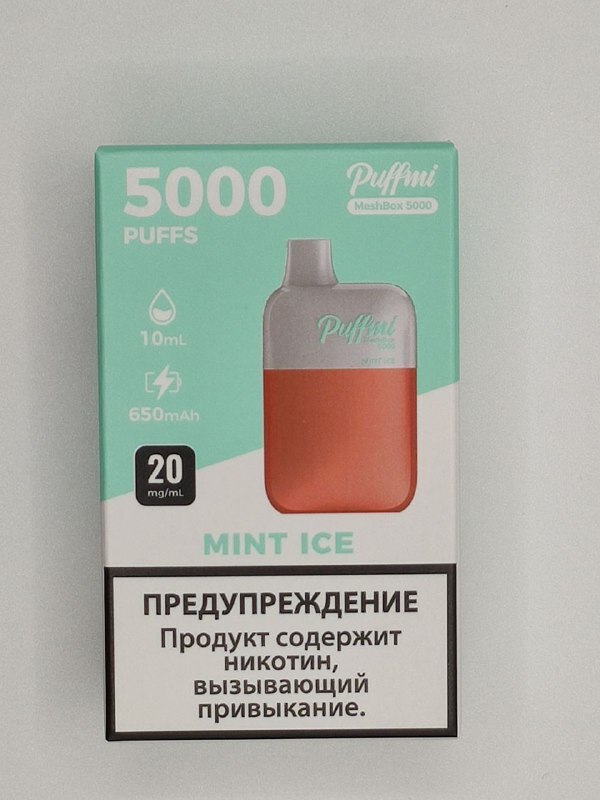 PUFFMI MeshBox 5000 / Mint ice