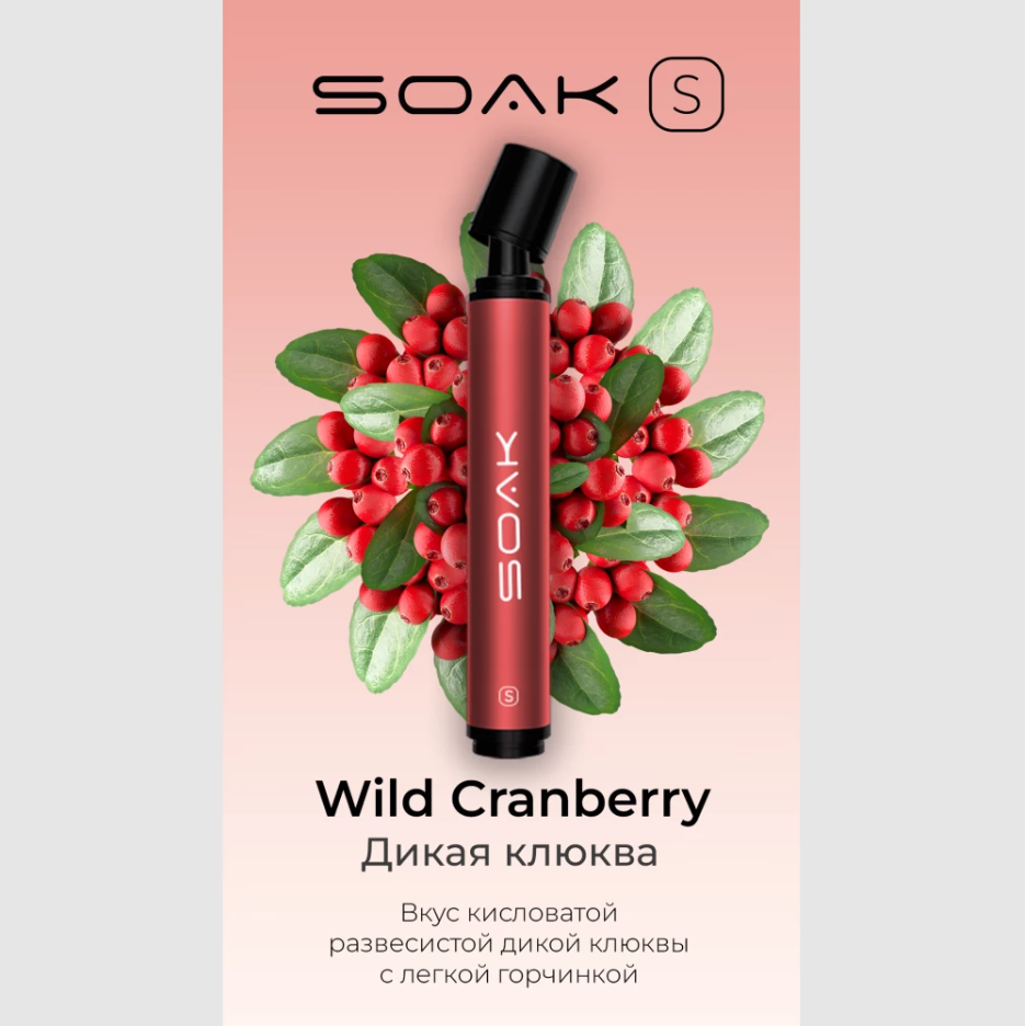 SOAK S 2500 / Wild Cranberry