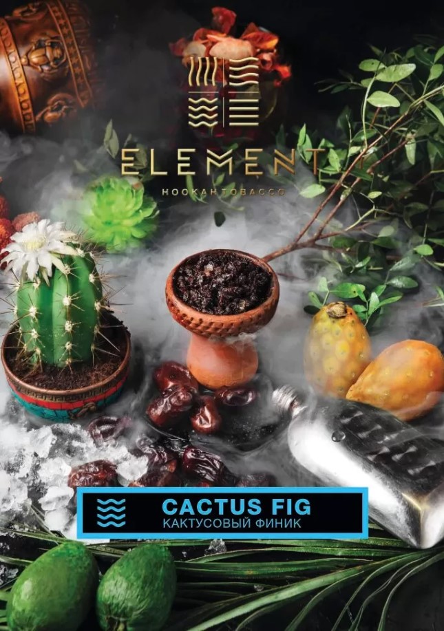 для кальяна Element / Вода 40 гр. / Cactus fig