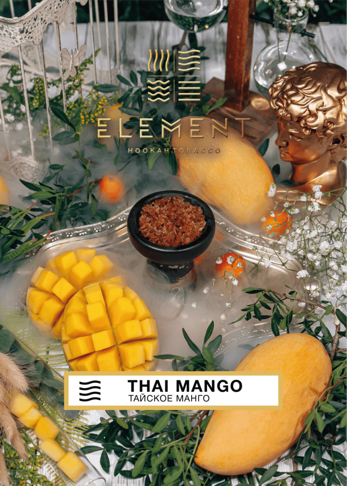 для кальяна Element / Воздух 40 гр. / Thai mango