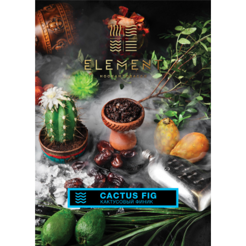 для кальяна Element / Земля 200 гр. / Cactus Fig